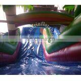 2017 Hot Sale Jungle Water Slide,water Park Slide for Sale thumbnail-4