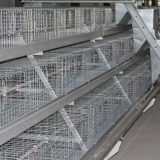 微信图片_20180103110602