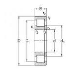 160x290x48 Bearing