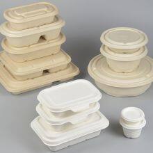 Bagasse 1000ml Food Container With Lid Sustainable Biodegradable Sugarcane Bagasse thumbnail-1