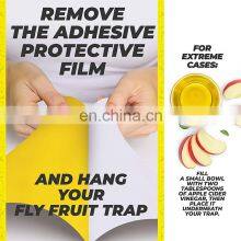 Wholesale Yellow Sticky Traps Flies Pest Type And Eco-friendly Feature High Quality Fruit Fly Glue Board thumbnail-4