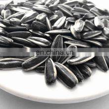 Cheap Sunflowerseed Good Price thumbnail-4