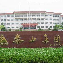 Taishan Group Co., Ltd. company overview - view 1 thumbnail