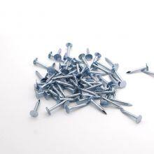 POWER Steel Roofing Felt Nails Supplier 20mm Length for Ceiling Installation thumbnail-2