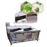 Industrial Automatic Double Tank Fruit And Vegetable Washing Machine thumbnail-2