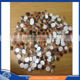 wholesale small seashells for jewelry making 1-1.5cm 2-2.5cm sells by kg