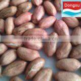 Raw Peanut Kernels
