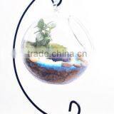 High Quality Clear Glass Vase , Fashion Glass Vase Round Shaped thumbnail-2