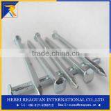 Hot Sale and Best Price 1-3/4"(5D) Fence Nail thumbnail-5