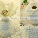150ml Beautiful Ceramic Bottle With Paper Sola Flower Diffuser for Home Decoration