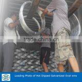 Galvanized Oval Wire 2.4x3.0mm For Farm Fencing thumbnail-4