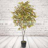 Artificial Ficus Tree thumbnail-5