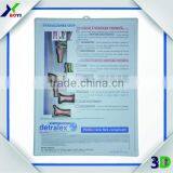 High Definition 3d Coloured Medical Teaching Wall Chart Poster