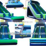 Adult Size Inflatable Water Slide