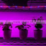 DC12V 300CM 60led/mSMD5050 Flexible Plant Growing Led Strip Light thumbnail-6