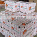 2015 New Crop of Navel Orange Fruit for Sale thumbnail-6