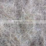 Gafoor Trading Company company overview - view 1 thumbnail