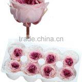 Preserved Austin Rose Heads in Two Tone Pink 8 per Box Approximately 4.5cm thumbnail-1