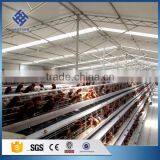 30 Years' Factory Supply Automatic Layer Egg Chicken Cage thumbnail-6