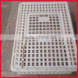Plastic Poultry Transfer Box thumbnail-1
