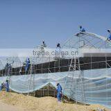 Greenhouse for Agriculture Hydroponics thumbnail-4