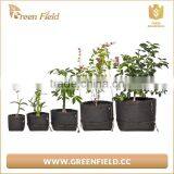 200 Gallon Felt Fabric Vegatable Plant Grow Bag thumbnail-3