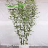 SJLJ013591 Artificial Tree and Plant Fake Plastic Bamboo Stick for Garden Wall Decoration thumbnail-2