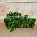 Handmade Cheap Flower Pots thumbnail-5