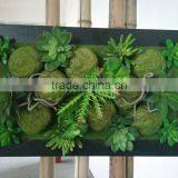 New Wall Frame With Artificial Plants thumbnail-3
