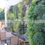 Top Quality Artificial Plant for Decore Artificial Plant Wall Outdoor thumbnail-5