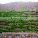 Ecological Non Woven Bags thumbnail-1