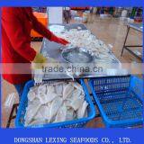 Frozen Tordarodes and Argentina Squid Tube U10,U5