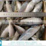 Fresh Seafood Frozen Fish Horse Mackerel thumbnail-1