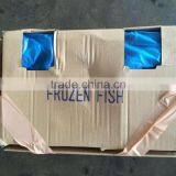 Frozen Wholesale Sardines thumbnail-3