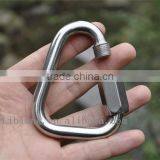 Hot Sale Triangle Carabiner Bulk, Clambing Carabiner thumbnail-5