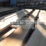 High Quality Unedged Birch Timber thumbnail-3