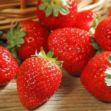 200pcs Organic Sweet Giant Strawberry Seeds Strawberry Seeds for Planting thumbnail-1