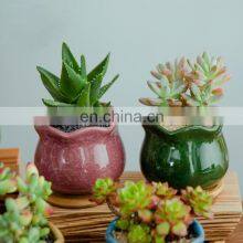The New Listing Wholesale Ceramic Pots Porcelain Indoor Europe Light Set Square Circle Flower Pot With Drainage thumbnail-2