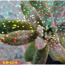 Cold Lamination Film Holographic Transparent , Clarity Holographic Film thumbnail-4
