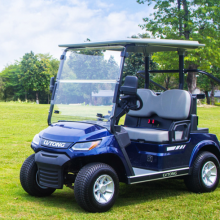 Global Sales of Golf Carts, Electric Sightseeing Vehicles, and Electric Trucks thumbnail-2