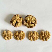 New Crops Wholesale Walnut Kernels Halves Competitive Price Size 30 32 34 thumbnail-2