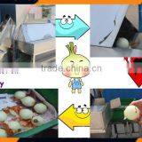 Onion Skin Separator Machine thumbnail-4