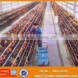 Country Chicken Farming Design Modern Chicken Layer Farm