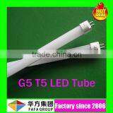 Promotional animal tube free hot sex t5 led tube china manufacturer