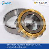 55X120X29 Cylindrical Roller Bearing N311