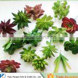 Pvc Mini Single Artificial Succulent Plant With Different Styles Quality Choice