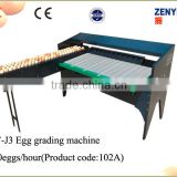 Three Rows Egg Classification Machine for egg farm