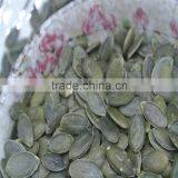 Sugar Beet Pulp Pellet Wholesale Pumpkin Seeds GWS Pumpkin Seeds thumbnail-3
