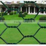 Hexagonal Wire Netting6