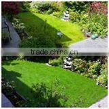 Fake Grass Producer for Residential thumbnail-4